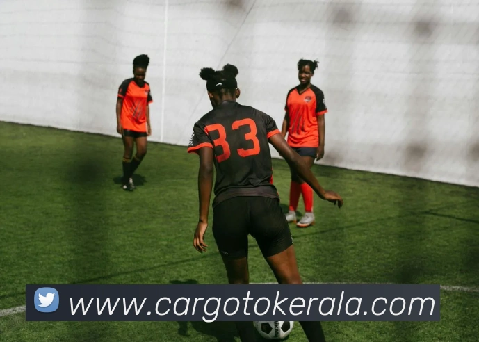 乐投体育全站App